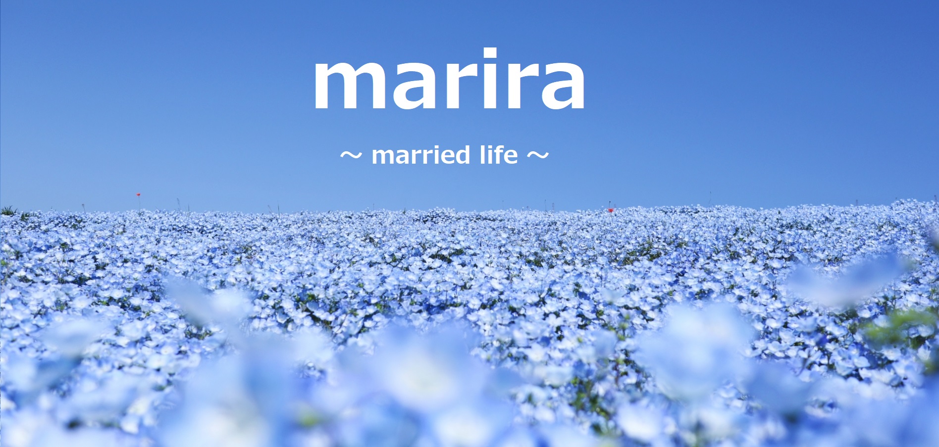 マリラ　~Married Life~